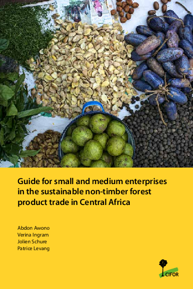 (PDF) Guide for small and medium enterprises in the sustainable non ...