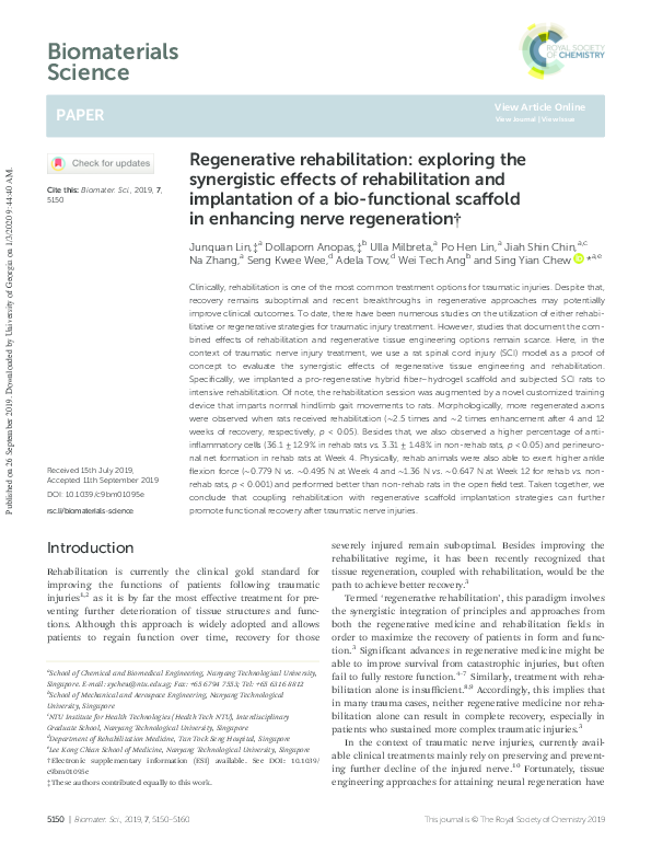 (PDF) Regenerative rehabilitation: exploring the synergistic effects of ...