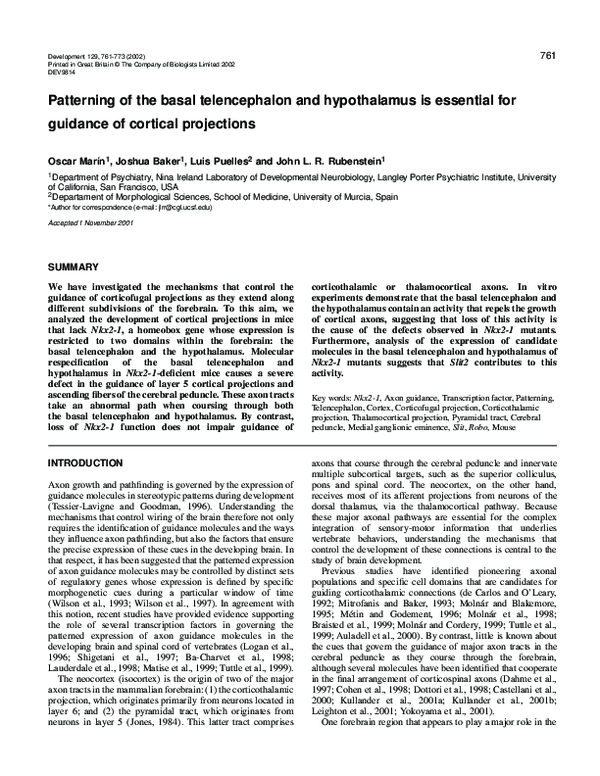 (PDF) Patterning of the basal telencephalon and hypothalamus is ...