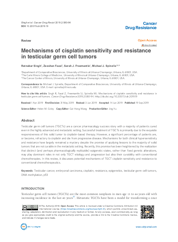 (PDF) Mechanisms of cisplatin sensitivity and resistance in testicular ...