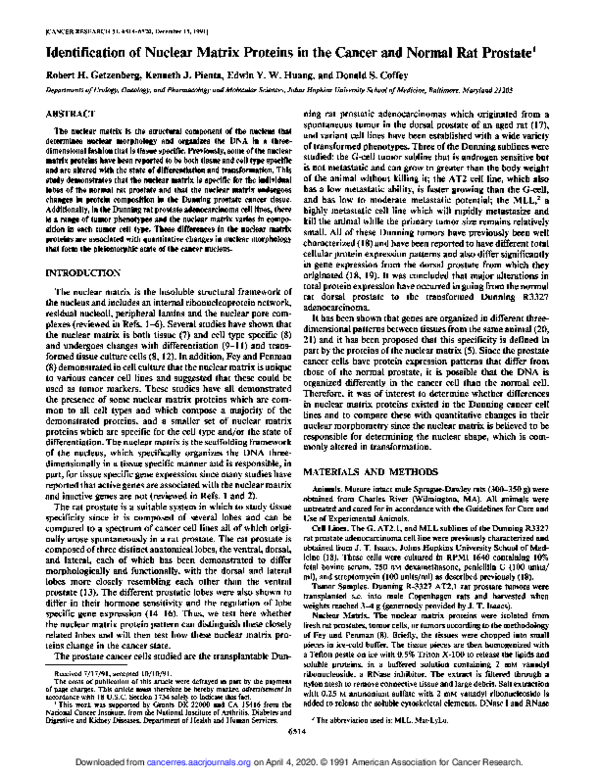 (PDF) Identification of nuclear matrix proteins in the cancer and ...