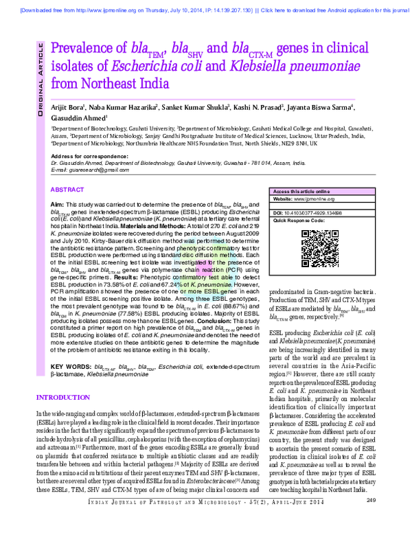 (PDF) Prevalence of bla TEM , bla SHV and bla CTX-M genes in clinical ...