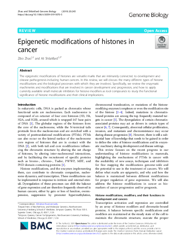 (PDF) Epigenetic modifications of histones in