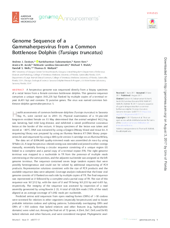 (PDF) Davison et al (Jacob) 2017 gammaherpesvirus in dolphin Jessica