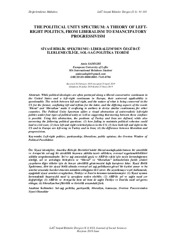 Political values essay image