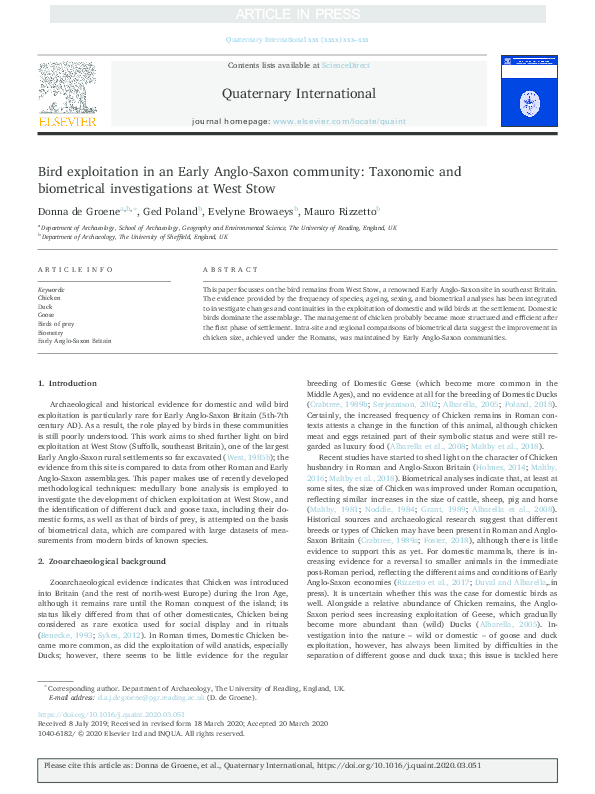 Bird exploitation in an Early Anglo-Saxon community: Taxonomic and biometrical investigations at West Stow