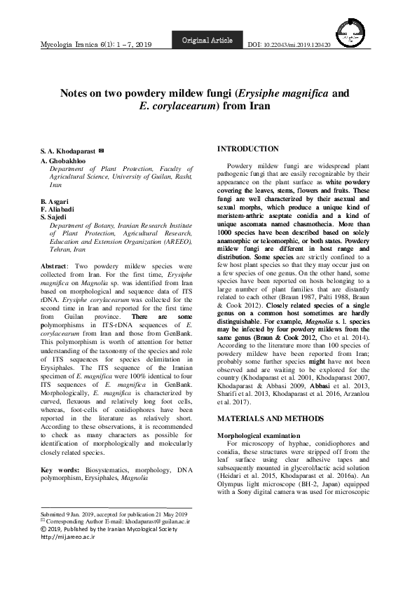 (PDF) Notes on two powdery mildew fungi (Erysiphe magnifica and E