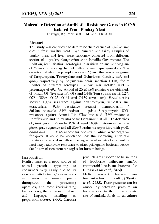 (PDF) Molecular Detection of Antibiotic Resistance Genes in E.Coli ...