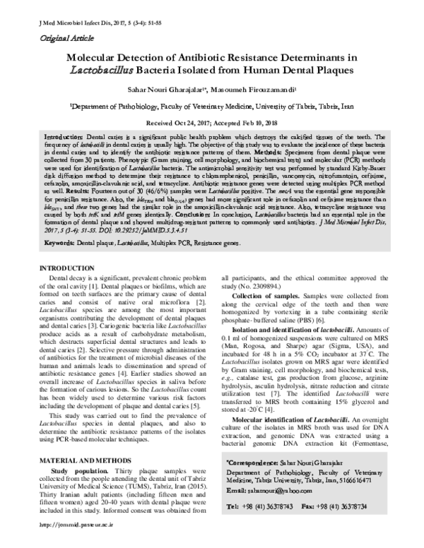 (PDF) Molecular Detection of Antibiotic Resistance Determinants in ...