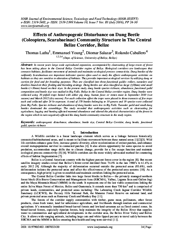 (PDF) Effects of Anthropogenic Disturbance on Dung Beetle (Coleoptera ...