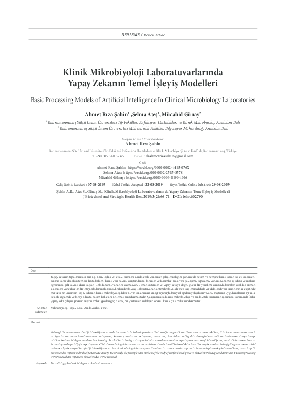 (PDF) Basic Processing Models of Artificial Intelligence In Clinical ...