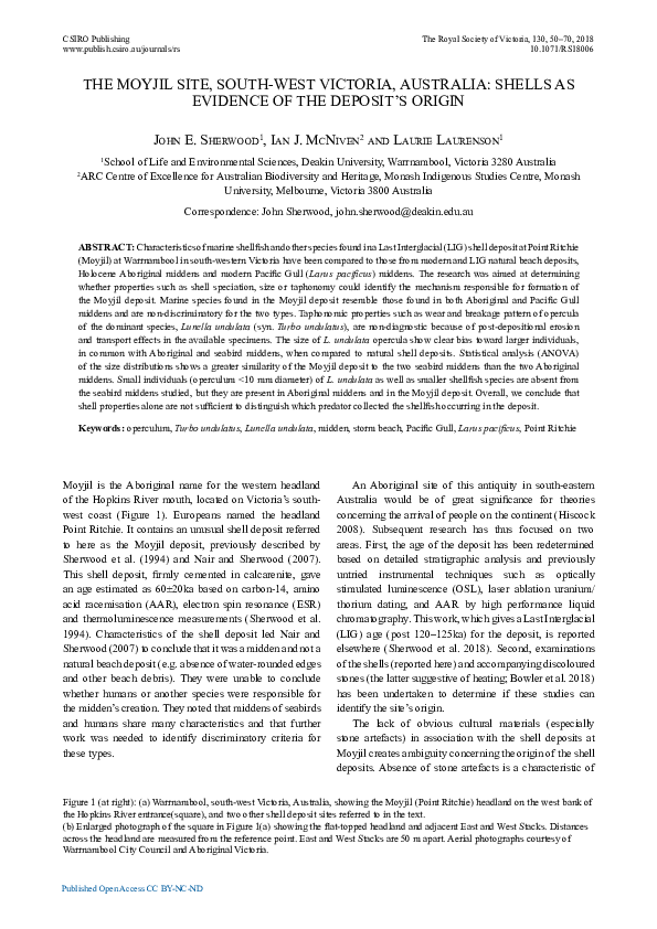 (PDF) The Moyjil site, south-west Victoria, Australia: Shells as ...