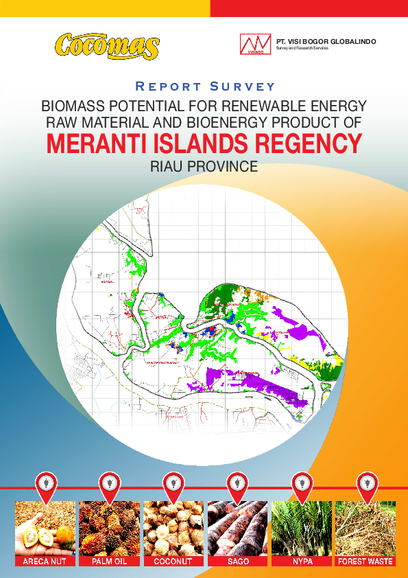 (PDF) BIOMASS POTENTIAL FOR RENEWABLE ENERGY RAW MATERIAL AND BIOENERGY ...