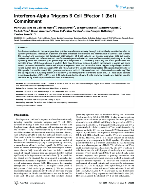 (PDF) Interferon-Alpha Triggers B Cell Effector 1 (Be1) Commitment