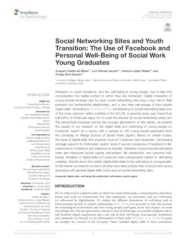 (PDF) Social Networking Sites and Youth Transition: The Use of Facebook ...