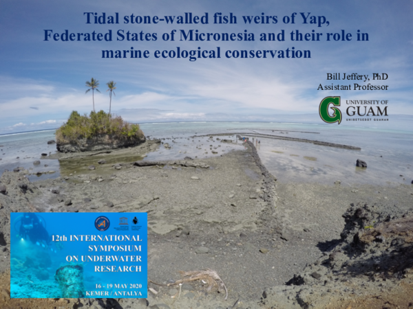 (PDF) Tidal stone-walled fish weirs of Yap, Federated States of ...