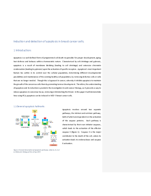 (PDF) Induction and detection of apoptosis in breast cancer cells