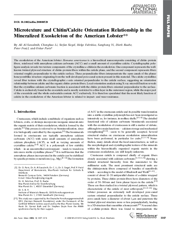 (PDF) Microtexture and Chitin/Calcite Orientation Relationship in the ...