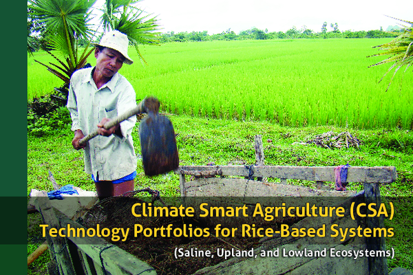 (PDF) Climate Smart Agriculture (CSA) Technology Portfolios for Rice ...