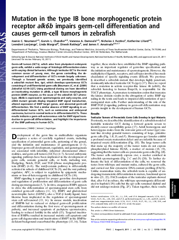 (PDF) Mutation in the type IB bone morphogenetic protein receptor alk6b ...