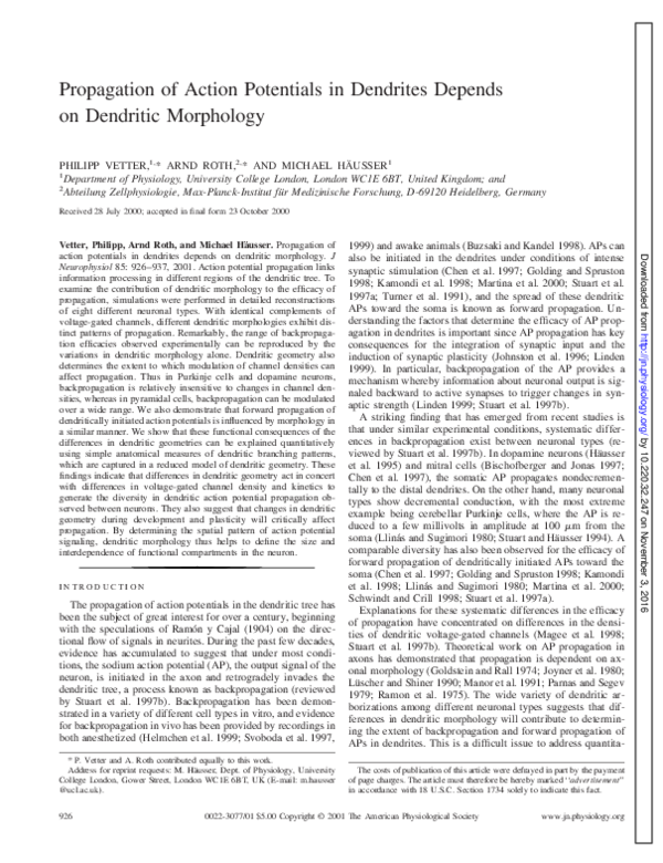 (PDF) Propagation of action potentials in dendrites depends on ...