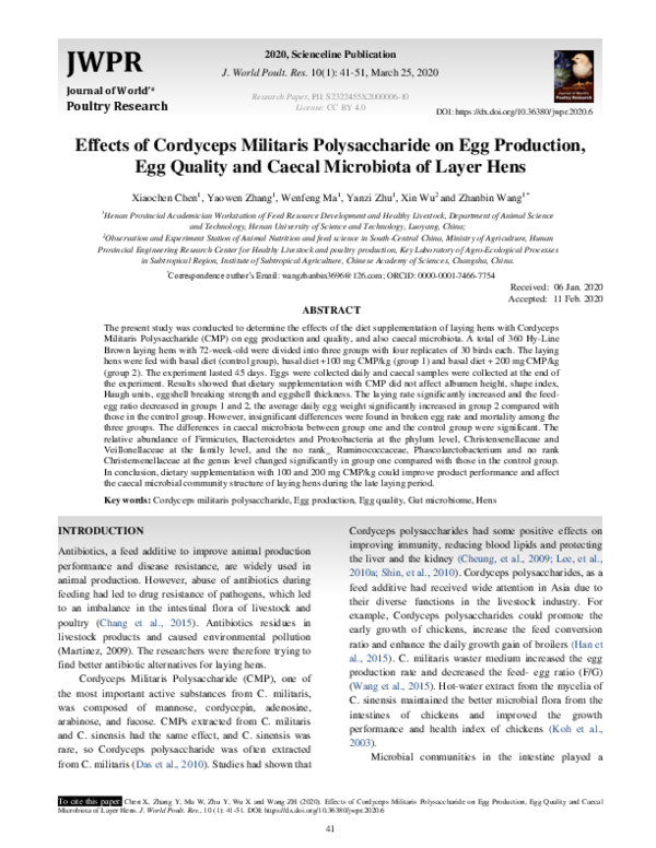 Cordyceps militaris benefits picture