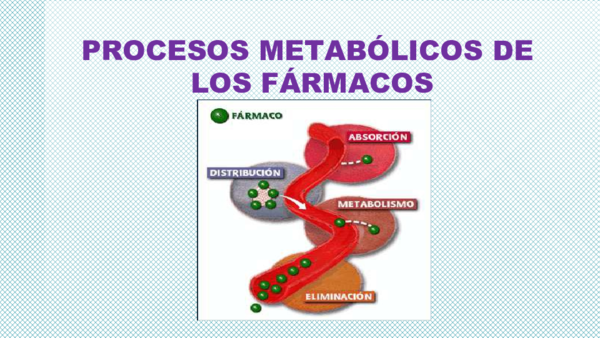 (PPT) Farmacocinética Fase I y II