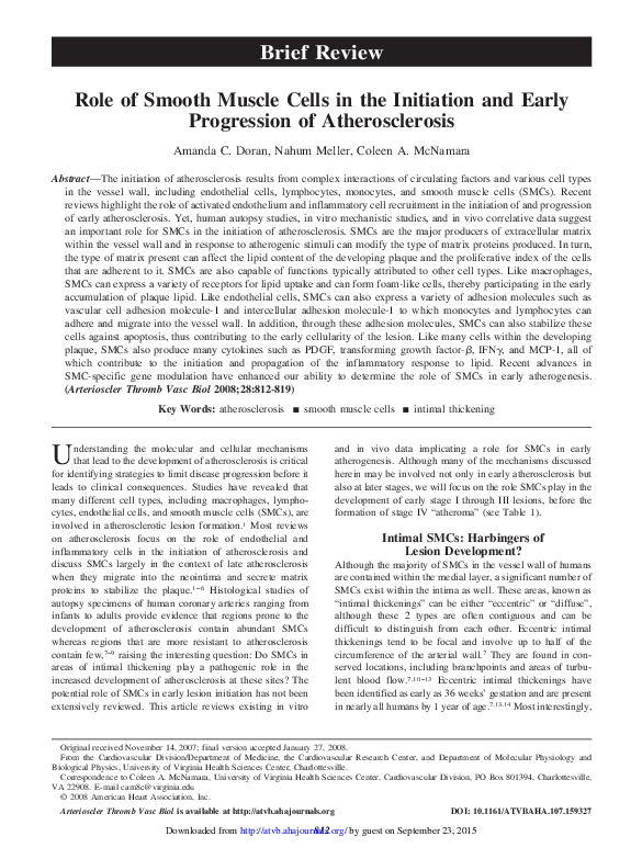 (PDF) Role of Smooth Muscle Cells in the Initiation and Early ...