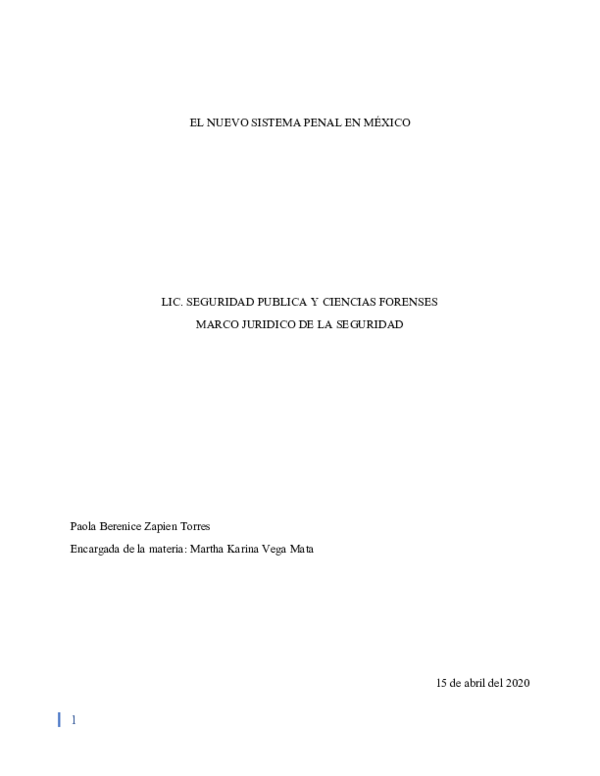 (DOC) NUEVO SISTEMA DE JUSTICIA PENAL EN MÉXICO