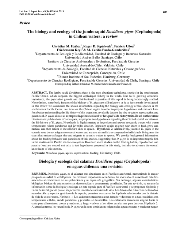 Are humboldt squid dangerous picture