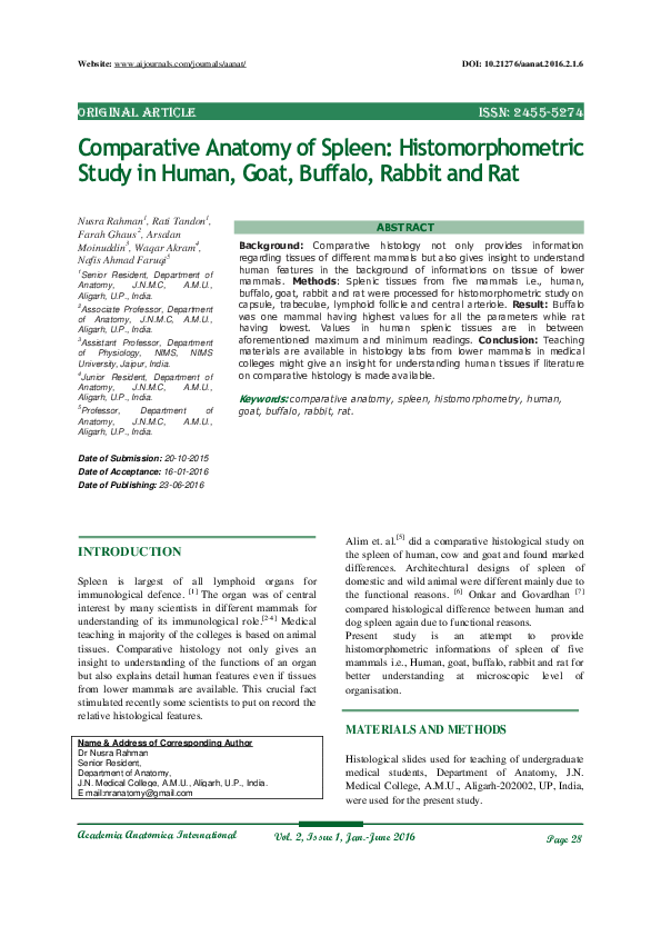 (PDF) Comparative Anatomy of Spleen: Histomorphometric Study in Human ...