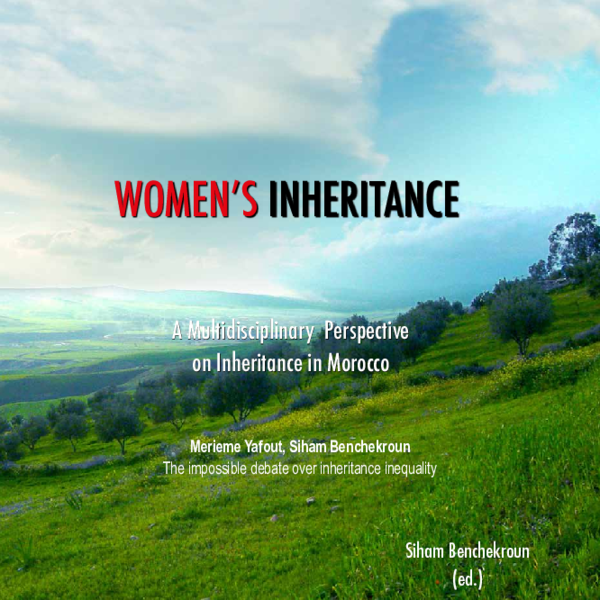 (PDF) The impossible debate over inheritance inequality