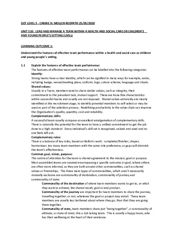 Lm1c essay 04 picture