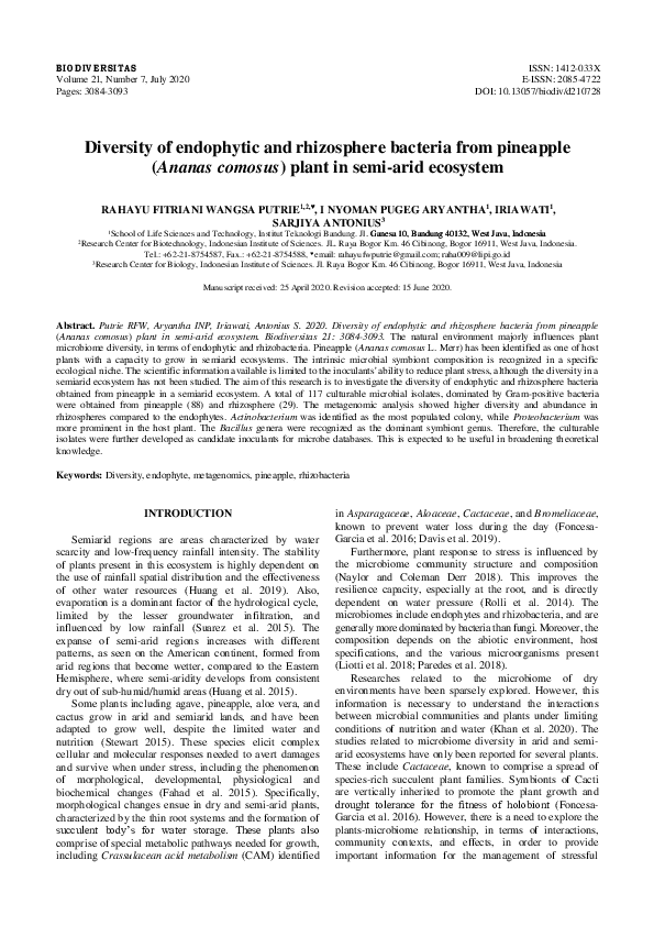 (PDF) Diversity of endophytic and rhizosphere bacteria from pineapple ...