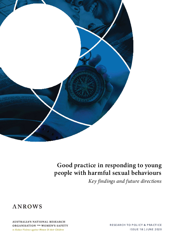 (PDF) Good practice in responding to young people with harmful sexual ...