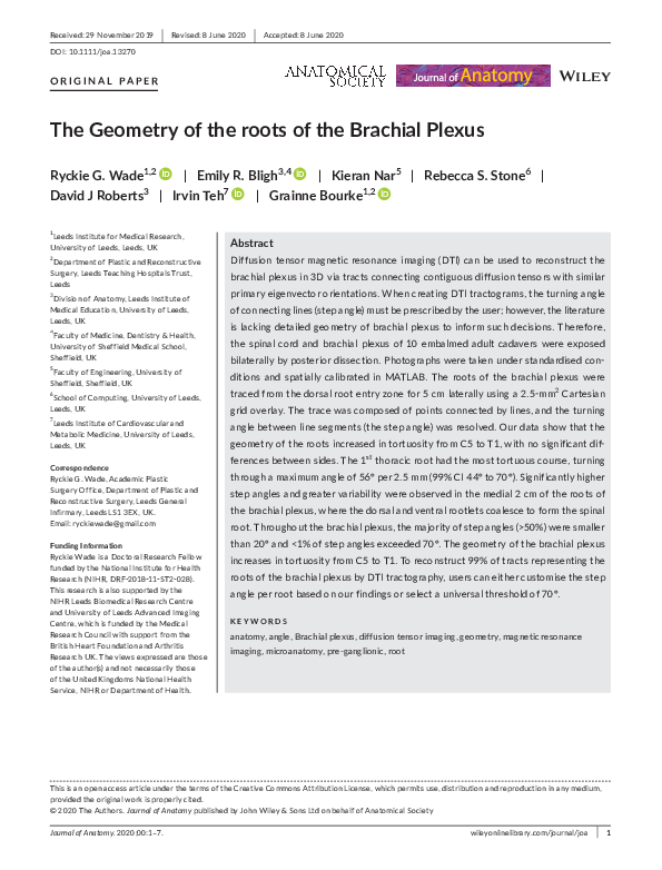 (PDF) The Geometry of the roots of the Brachial Plexus