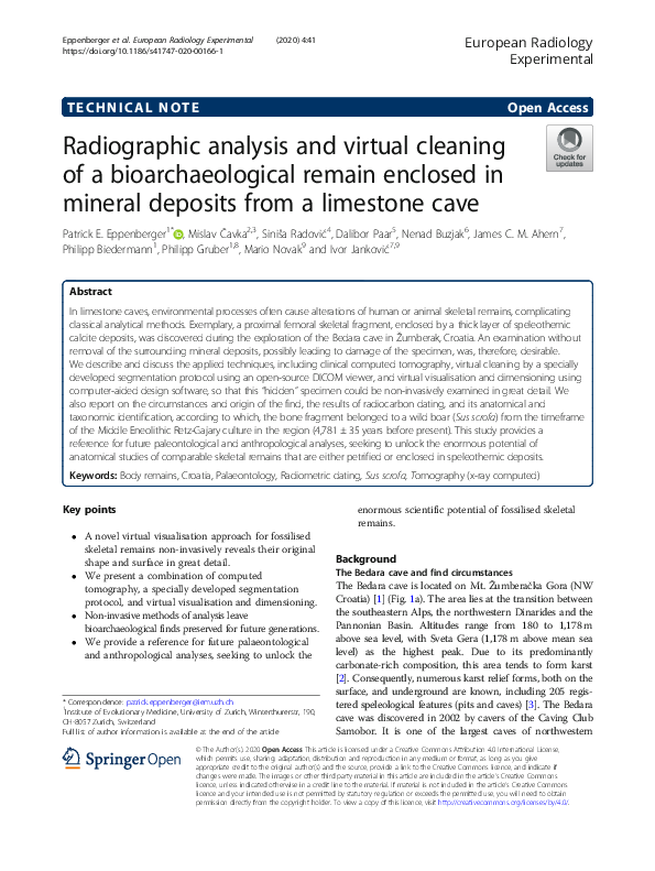 Mineral deposits examples image