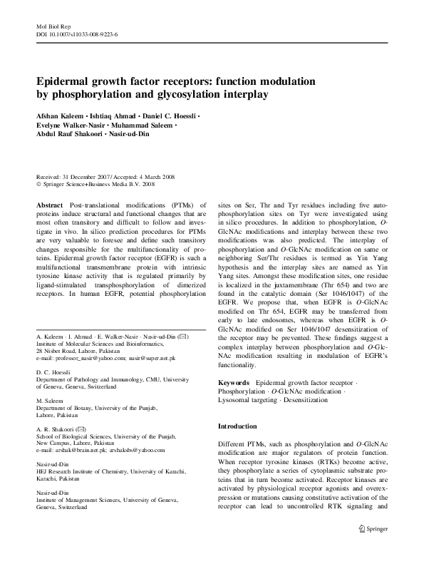 Epidermal growth factor receptors: function modulation by phosphorylation and glycosylation interplay