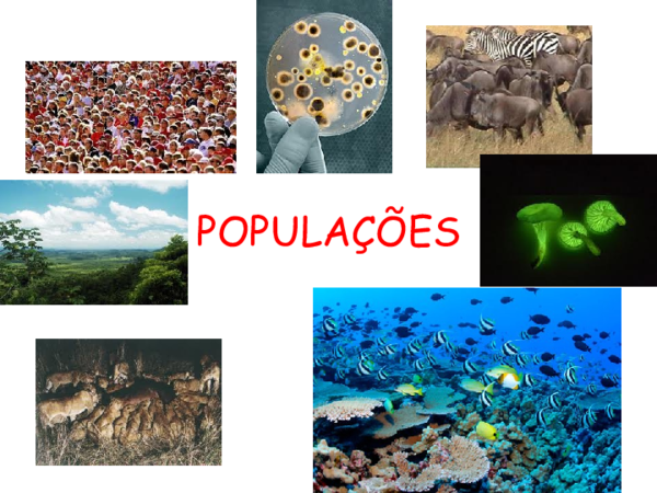 (PPT) Aula2 populacao biologia 2013 2 bimestre