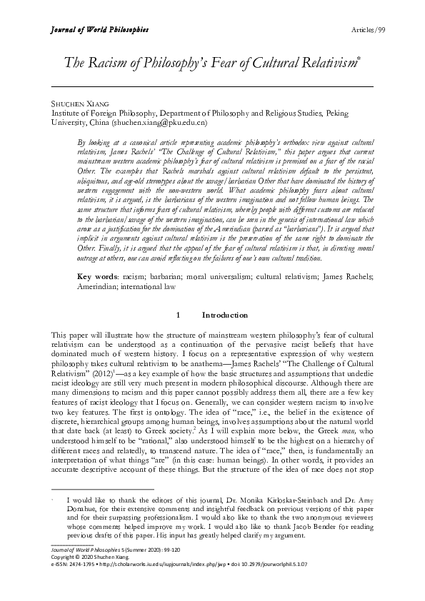 Racism philosophy essay 05 picture