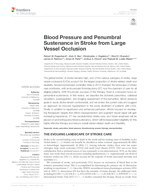 (PDF) Blood Pressure and Penumbral Sustenance in Stroke from Large