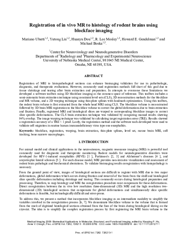 (PDF) Registration of in vivo MR to histology of rodent brains using ...