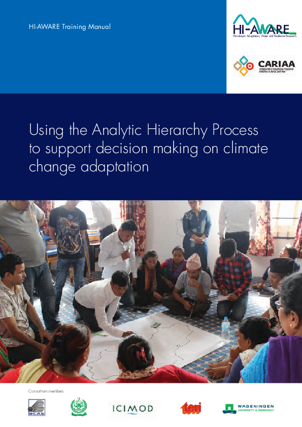(PDF) Using the Analytic Hierarchy Process to support decision making ...