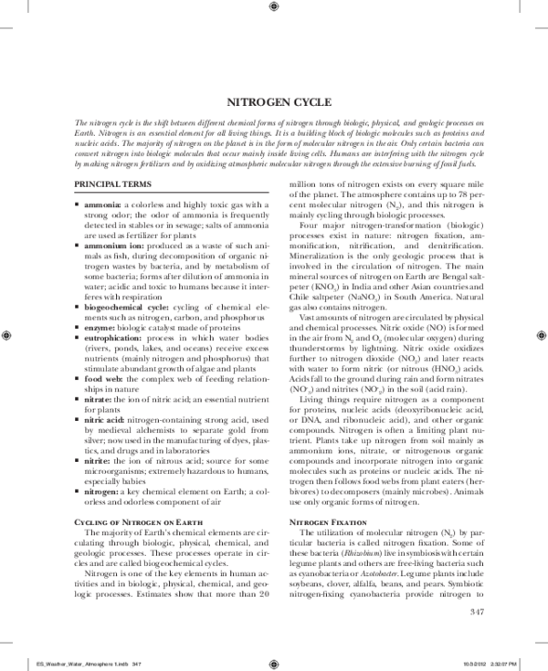 Nitrogen cycle steps for kids image
