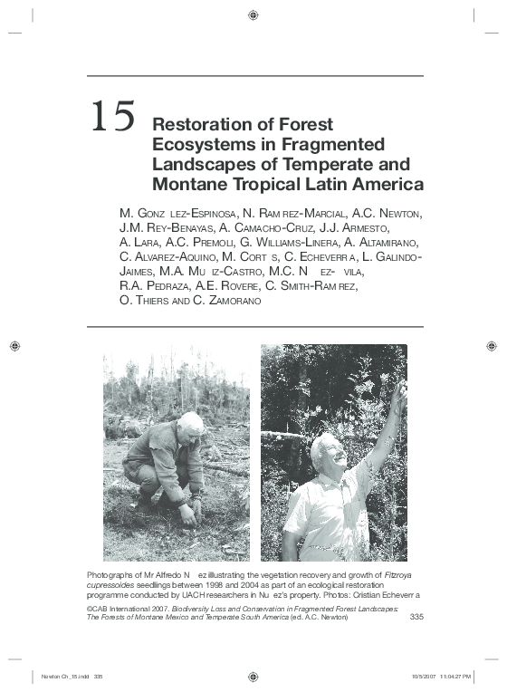(PDF) 15 Restoration of Forest Ecosystems in Fragmented Landscapes of ...