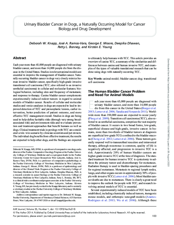 (PDF) Urinary bladder cancer in dogs, a naturally occurring model for ...
