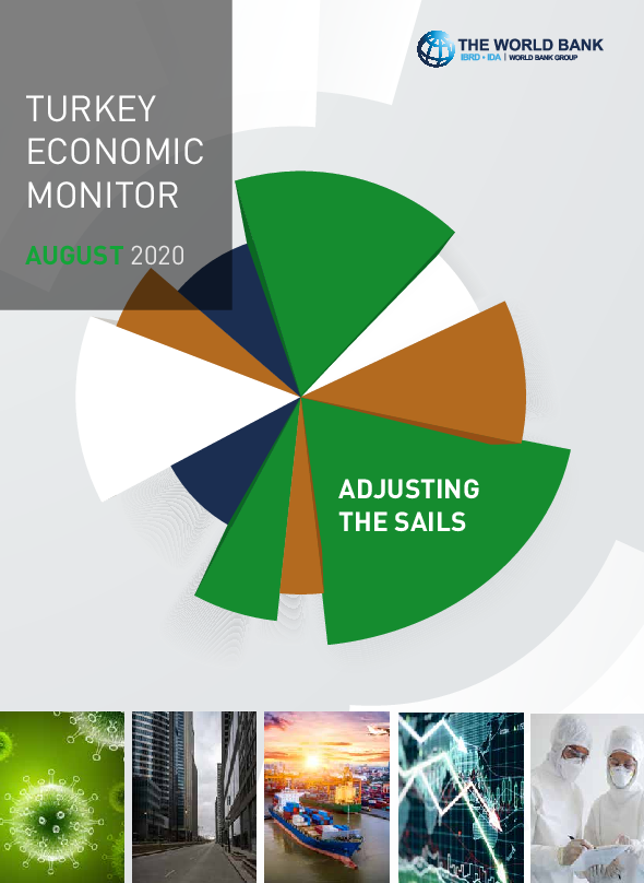 Turkey Economic Monitor, August 2020 - Adjusting the Salis
