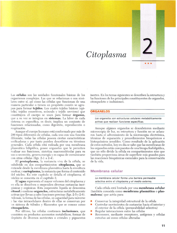 (PDF) Gartner Leslie P Texto Atlas de Histologia 2da Edicion 2 Citoplasma