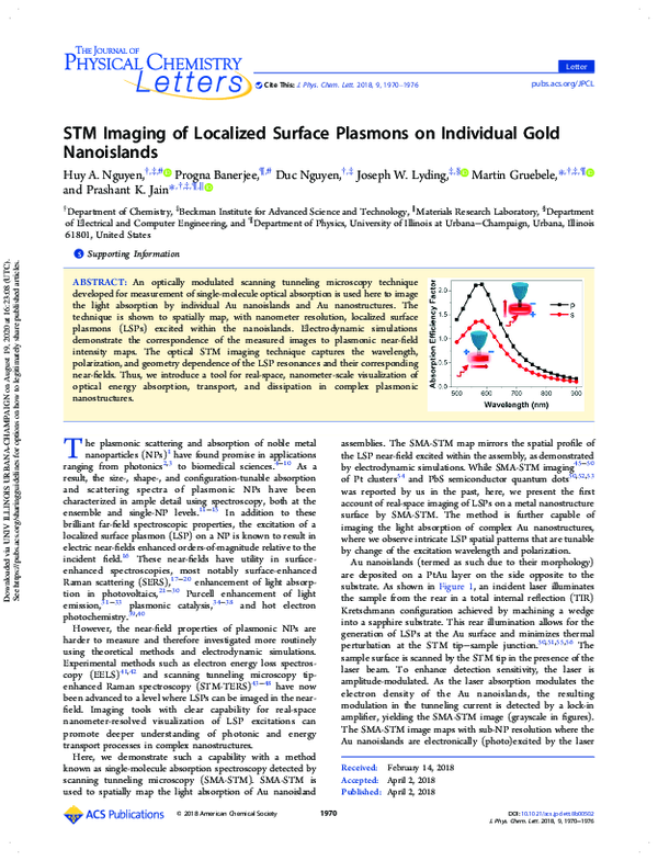 (PDF) STM Imaging of Localized Surface Plasmons on Individual Gold ...