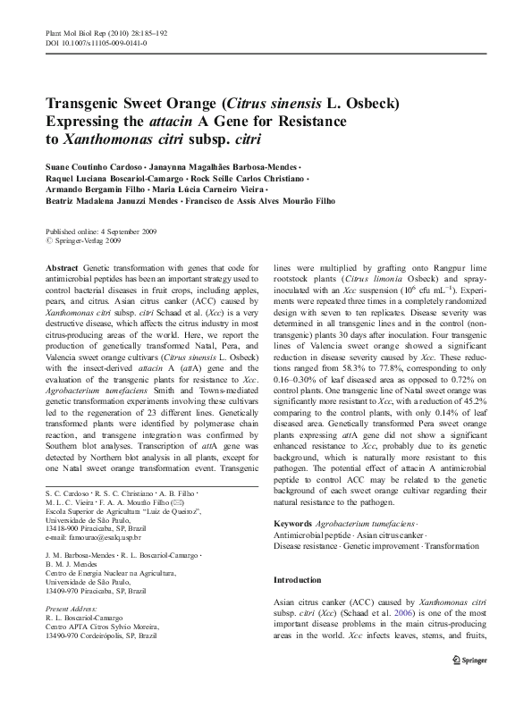 (PDF) Transgenic Sweet Orange (Citrus sinensis L. Osbeck) Expressing ...